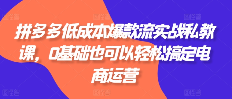 拼多多低成本爆款流实战私教课，0基础也可以轻松搞定电商运营-赚金金-技能学习分享