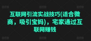 互联网引流实战技巧(适合微商,吸引宝妈),宅家通过互联网赚钱-赚金金-技能学习分享