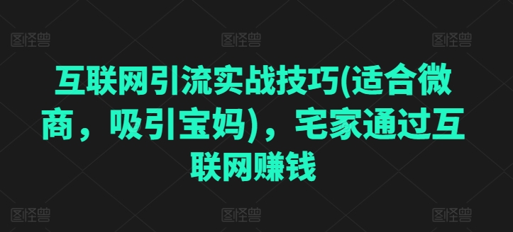 互联网引流实战技巧(适合微商，吸引宝妈)，宅家通过互联网赚钱-赚金金-技能学习分享