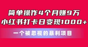 简单操作4个月赚9w,小红书打卡日变现1k,一个被忽视的暴力项目【揭秘】-赚金金-技能学习分享