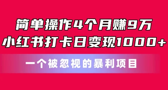 简单操作4个月赚9w，小红书打卡日变现1k，一个被忽视的暴力项目【揭秘】-赚金金-技能学习分享