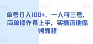 单号日入100+,一人可三号,简单操作易上手,实操落地保姆教程【揭秘】-赚金金-技能学习分享