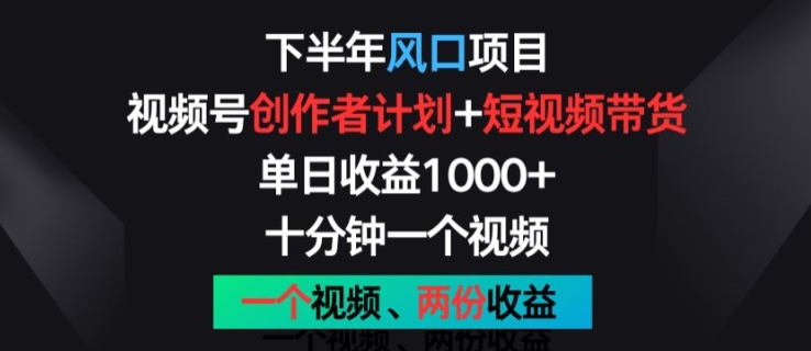 下半年风口项目，视频号创作者计划+视频带货，一个视频两份收益，十分钟一个视频【揭秘】-赚金金-技能学习分享