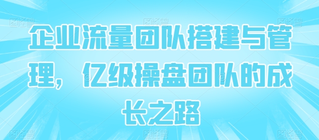 企业流量团队搭建与管理，亿级操盘团队的成长之路-赚金金-技能学习分享
