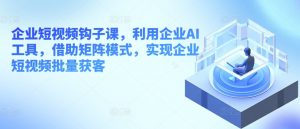 企业短视频钩子课,利用企业AI工具,借助矩阵模式,实现企业短视频批量获客-赚金金-技能学习分享