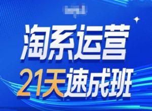 淘系运营24天速成班第28期最新万相台无界带免费流量-赚金金-技能学习分享