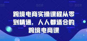 跨境电商实操课程从零到精通,人人都适合的跨境电商课-赚金金-技能学习分享