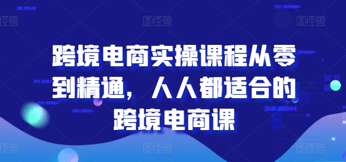 跨境电商实操课程从零到精通,人人都适合的跨境电商课-赚金金-技能学习分享