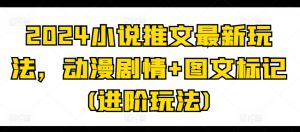 2024小说推文最新玩法,动漫剧情+图文标记(进阶玩法)-赚金金-技能学习分享