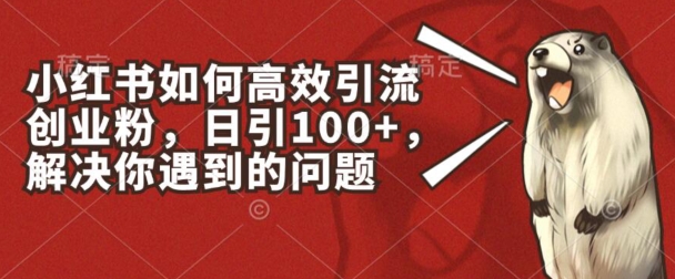 小红书如何高效引流创业粉，日引100+，解决你遇到的问题【揭秘】-赚金金-技能学习分享