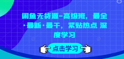 闲鱼无货源-高级班，最全·最新·最干，紧贴热点 深度学习-赚金金-技能学习分享