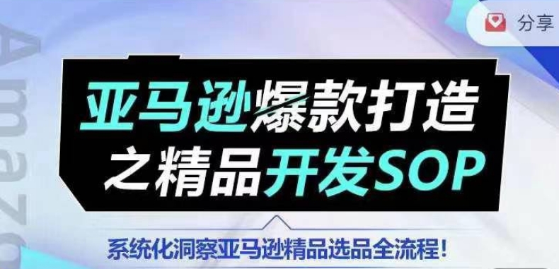 【训练营】亚马逊爆款打造之精品开发SOP，系统化洞察亚马逊精品选品全流程-赚金金-技能学习分享