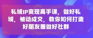 私域IP变现高手课,做好私域,被动成交,教你如何打造好朋友圈做好社群-赚金金-技能学习分享