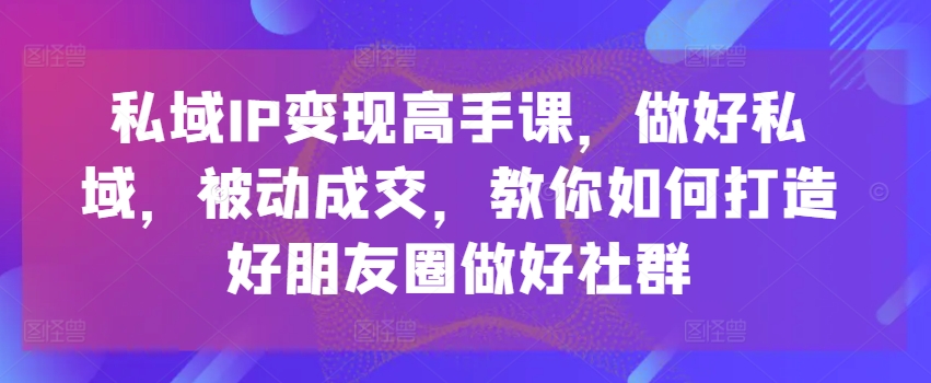 私域IP变现高手课，做好私域，被动成交，教你如何打造好朋友圈做好社群-赚金金-技能学习分享