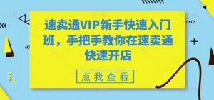 速卖通VIP新手快速入门班,手把手教你在速卖通快速开店-赚金金-技能学习分享