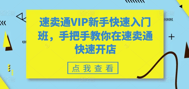 速卖通VIP新手快速入门班，手把手教你在速卖通快速开店-赚金金-技能学习分享