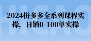2024拼多多全系列课程实操,日销0-100单实操【必看】-赚金金-技能学习分享