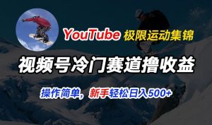 视频号冷门赛道撸收益,YouTube搬运极限运动集锦,暴力起号,操作简单流量高,轻松日入5张【揭秘】-赚金金-技能学习分享