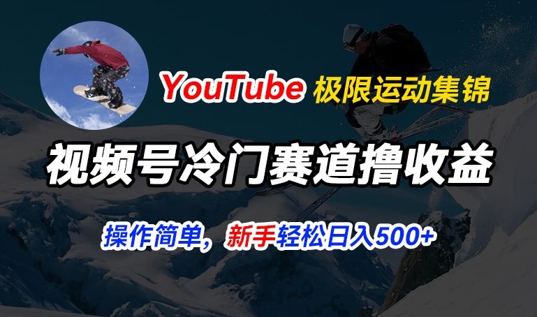 视频号冷门赛道撸收益，YouTube搬运极限运动集锦，暴力起号，操作简单流量高，轻松日入5张【揭秘】-赚金金-技能学习分享
