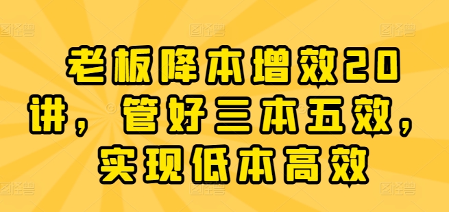 老板降本增效20讲，管好三本五效，实现低本高效-赚金金-技能学习分享