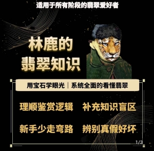 林鹿的翡翠知识，​用宝石眼光，系统全面的看懂翡翠-赚金金-技能学习分享