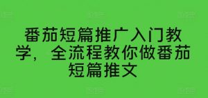 番茄短篇推广入门教学,全流程教你做番茄短篇推文-赚金金-技能学习分享