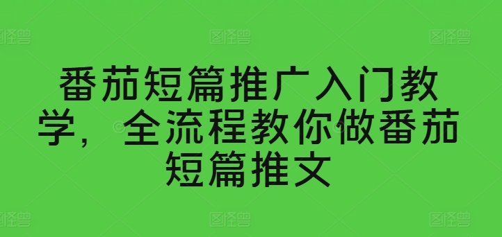 番茄短篇推广入门教学，全流程教你做番茄短篇推文-赚金金-技能学习分享