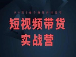 短视频带货实战营(高阶课),从0到1做个赚钱的抖音号-赚金金-技能学习分享
