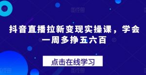 抖音直播拉新变现实操课,学会一周多挣五六百-赚金金-技能学习分享