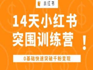 14天小红书突围训练营 ,0基础快速突破千粉变现-赚金金-技能学习分享