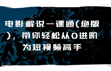 电影解说一课通(绝版)，带你轻松从0进阶为短视频高手-赚金金-技能学习分享