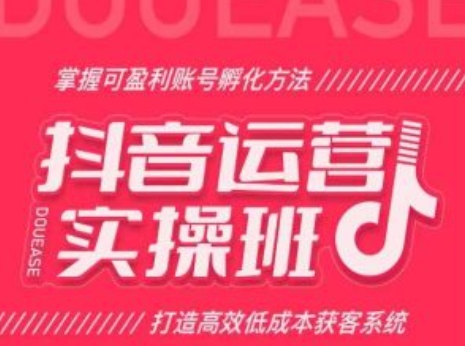 抖音运营实操班，掌握可盈利账号孵化方法，打造高效低成本获客系统-赚金金-技能学习分享