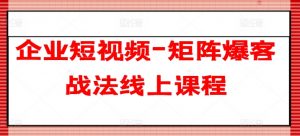 企业短视频-矩阵爆客战法线上课程-赚金金-技能学习分享