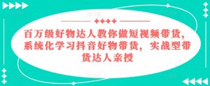 百万级好物达人教你做短视频带货,系统化学习抖音好物带货,实战型带货达人亲授-赚金金-技能学习分享