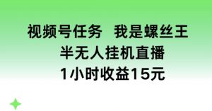 视频号任务,我是螺丝王, 半无人挂机1小时收益15元【揭秘】-赚金金-技能学习分享