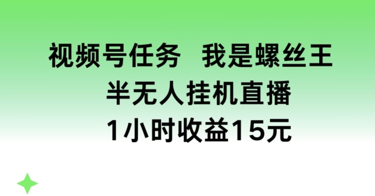 视频号任务，我是螺丝王， 半无人挂机1小时收益15元【揭秘】-赚金金-技能学习分享