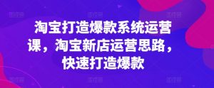 淘宝打造爆款系统运营课,淘宝新店运营思路,快速打造爆款-赚金金-技能学习分享