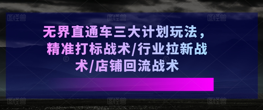 无界直通车三大计划玩法，精准打标战术/行业拉新战术/店铺回流战术-赚金金-技能学习分享