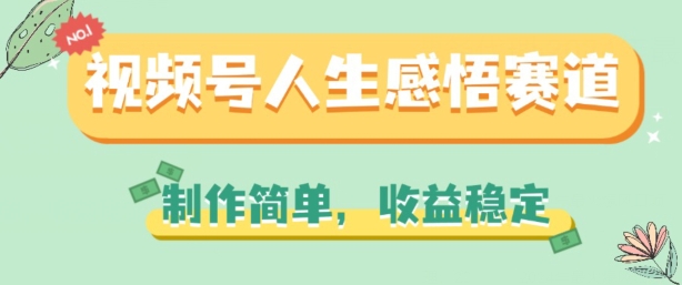 视频号人生感悟赛道，制作简单，收益稳定【揭秘】-赚金金-技能学习分享