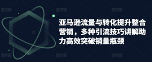 亚马逊流量与转化提升整合营销,多种引流技巧讲解助力高效突破销量瓶颈-赚金金-技能学习分享