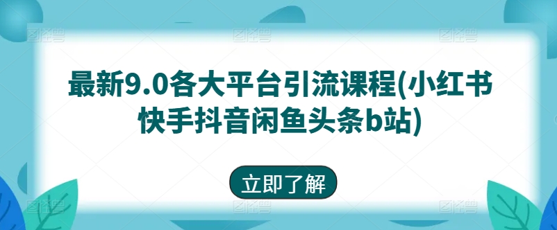 最新9.0各大平台引流课程(小红书快手抖音闲鱼头条b站)-赚金金-技能学习分享