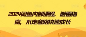 2024闲鱼内部课程,避雷指南,不走弯路快速成长-赚金金-技能学习分享