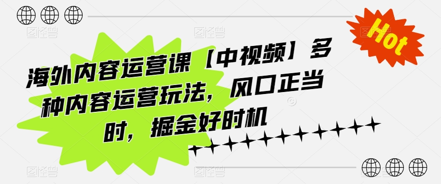 海外内容运营课【中视频】多种内容运营玩法，风口正当时，掘金好时机-赚金金-技能学习分享