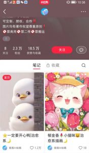 小红书快速涨粉神器,利用AI制作小红书爆款笔记【揭秘】-赚金金-技能学习分享