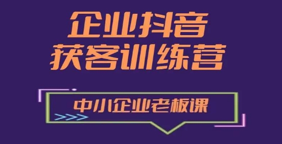 企业抖音营销获客增长训练营，中小企业老板必修课-赚金金-技能学习分享