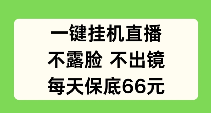 一键挂JI直播，不露脸不出境，每天保底66元【揭秘】-赚金金-技能学习分享
