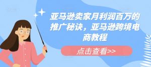 亚马逊卖家月利润百万的推广秘诀,亚马逊跨境电商教程-赚金金-技能学习分享