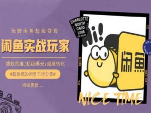 手把手教你0到1系统玩转闲鱼变现,爆款思维/超级曝光/超高转化-赚金金-技能学习分享