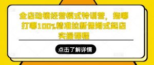 全店动销经营模式特训营,指哪打哪100%精准拉新保姆式起店实操课程-赚金金-技能学习分享