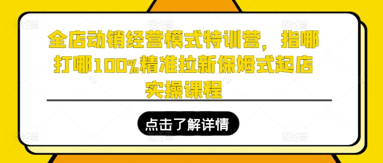 全店动销经营模式特训营，指哪打哪100%精准拉新保姆式起店实操课程-赚金金-技能学习分享